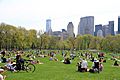 3021-Central Park-Sheep Meadow