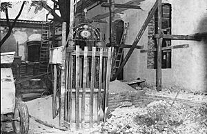 Archivo:Aljibe de Rosas en el patio del Cabildo (AGN, 1940)