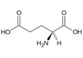 Amminoacido acido glutammico formula