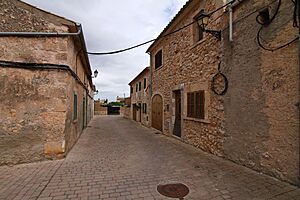 Archivo:Ariany, carrer Nou
