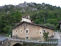 Arraia-Maeztuko Elortza 2008 8 25.JPG