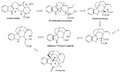 BIOSINTESIS DE LA ESTRICNINA