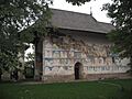 Biserica Arbore
