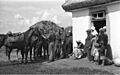 Bundesarchiv B 145 Bild-F016202-25A, Sowjetunion, Verbinden eines verletzten Reiters