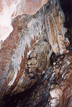 California-Murphys-Mercer cave1.jpg