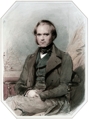 Archivo:Charles Darwin by G. Richmond