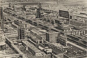 Archivo:Combinatul de cauciuc sintetic si produse petrochimice Gheorghe Gheorghiu-Dej (Onesti)