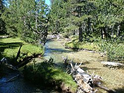 Archivo:DSCF2556x - Planell d'Aigües Tortes