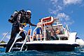 Dive BVI, Scrub Island Resort, Spa & Marina