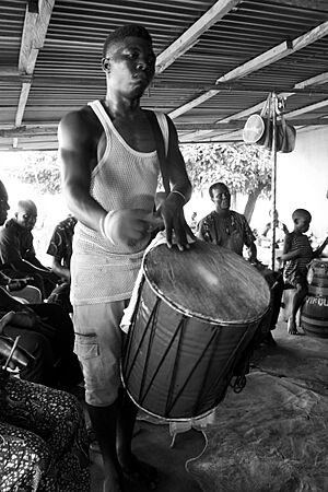 Archivo:Drumming blekete