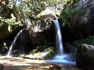 Archivo:Ducha de los Alemanes