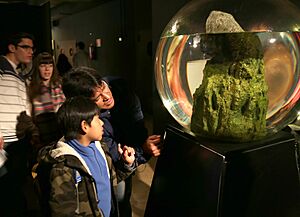Archivo:Ecoesfera en la sala Biosfera