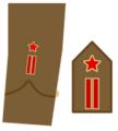 Ejerpopulardivi7