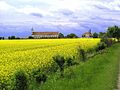 Elchingen1