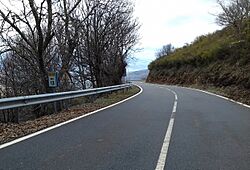 Estrada OU-121, km 13 en Santigoso, O Barco de Valdeorras.jpg