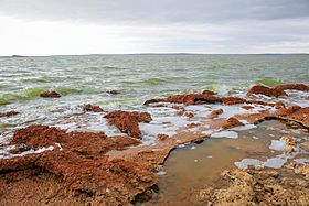 Estromatolitos Monumento Natural Laguna de Los Cisnes 04.jpg
