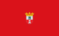 Flag of Dos Hermanas Spain.svg