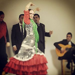 Archivo:FlamencoCartaojal