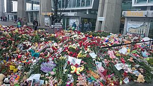 Archivo:Flowers for Metrojet flight 9268 victims