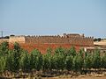 Granucillo 20100807