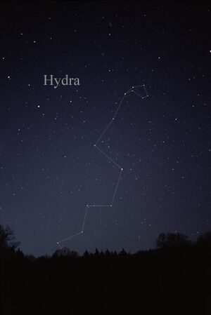 Archivo:HydraCC