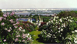 Archivo:Kiev BotanicalGardens lilacs