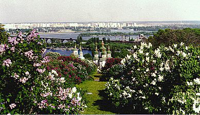 Kiev BotanicalGardens lilacs