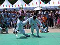 Korean martial art-Taekkyeon-02