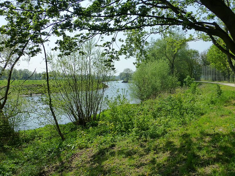 Lippstadt Lippe P1010641 (8709807376)