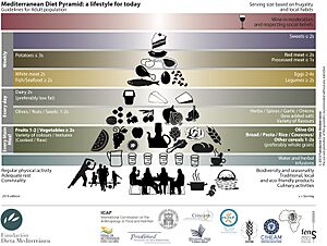Archivo:Mediterranean diet food pyramid (en)