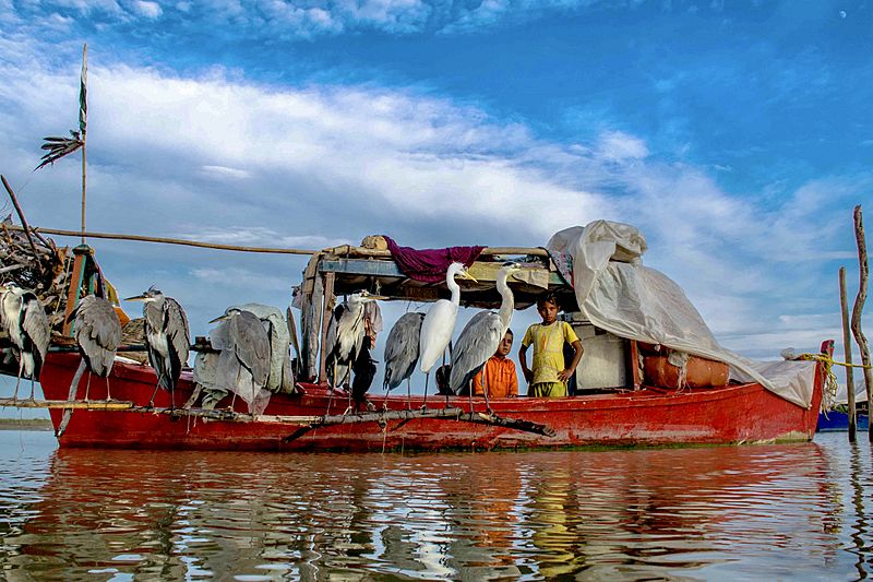 Mohana Community of indus river