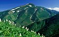 Mount Haku from Aburazaka 1997-7-19