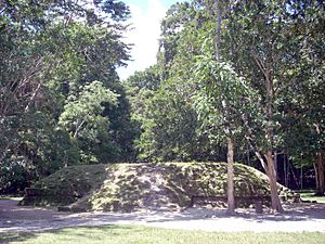 Archivo:Mundo Perdido structure 5C-53, Tikal