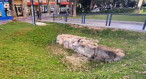 Archivo:Murallacardonavives2