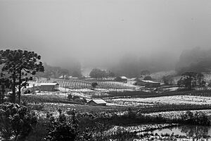 Archivo:Neve Caxias do Sul (2)