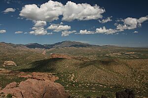 Archivo:North Santa Teresa Wilderness (9414152399)