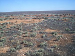Archivo:Nullabor plain from the indian pacific