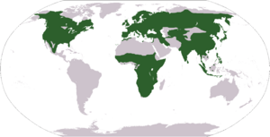 Distribución mundial de los páridos