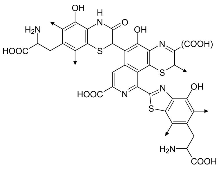 Pheomelanine