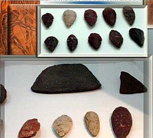 Archivo:Piezas Arqueologicas