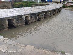 Puente Tawantinsuyu 4