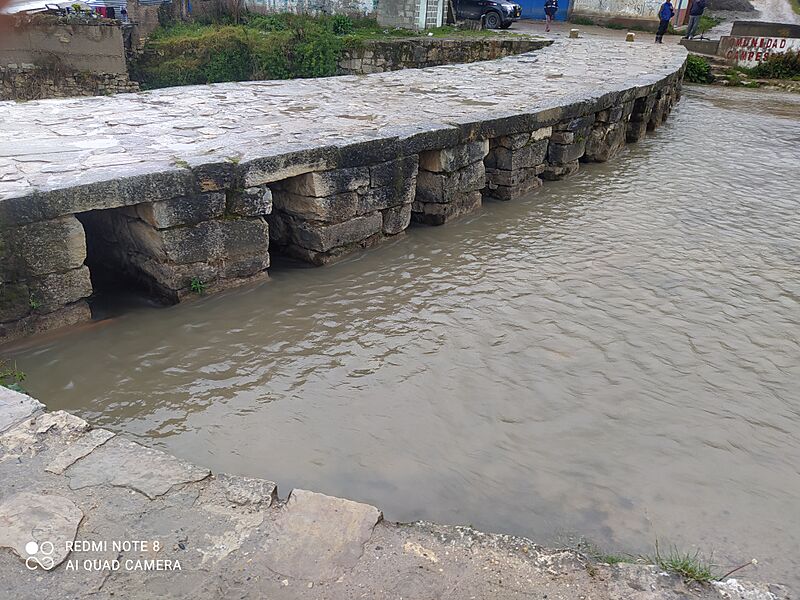 Puente Tawantinsuyu 4