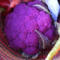 Purplec
