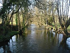 Rio Azumara en Azumara.JPG