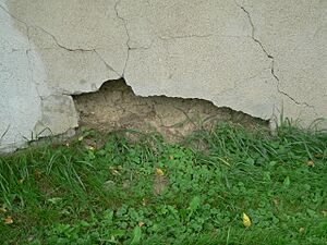 Archivo:SDSU dean residence rammed-earth wall, W end damage 1