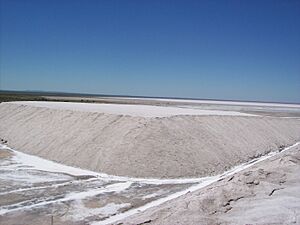 Archivo:Salinas del Bebedero