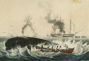 Archivo:South Sea Whale Fishery, lithographic print painted by Garnerey, engraved by E. Duncan, published 1835