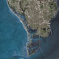Archivo:St. Petersburg (Florida) SPOT 1287