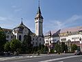 TarguMures2