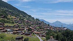 Troistorrents depuis sud-ouest - juillet 2022.jpg
